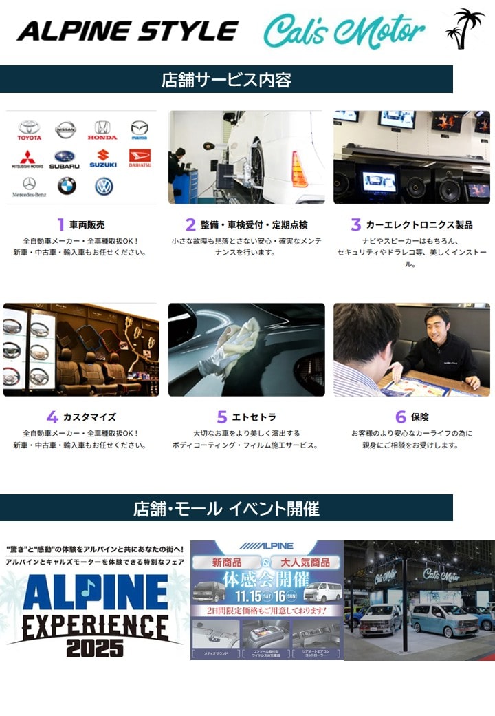 Alpinestyle1│アルパインスタイル1