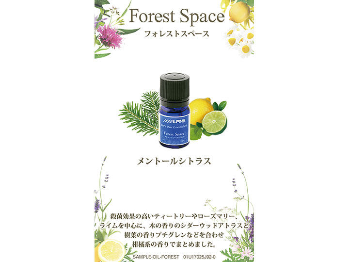 サンプルカード フォレストスペース【送料無料】