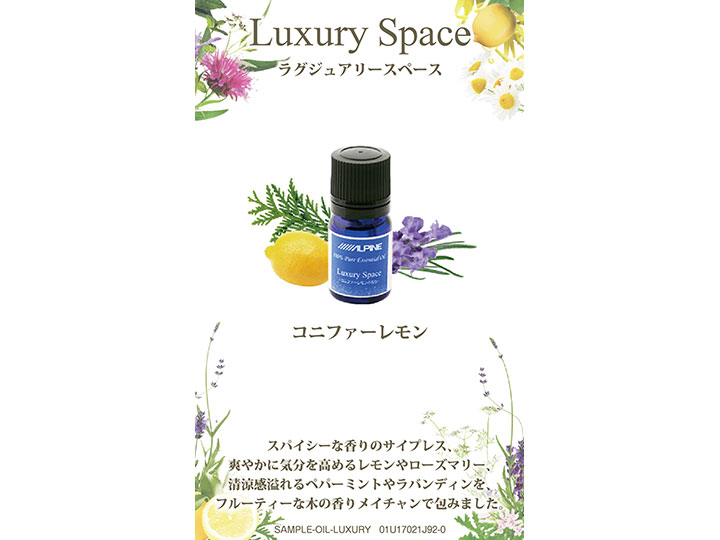 サンプルカード ラグジュアリースペース【送料無料】